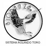 Biodanza - prospettivafluida di Virna Tagliaro - Vicenza